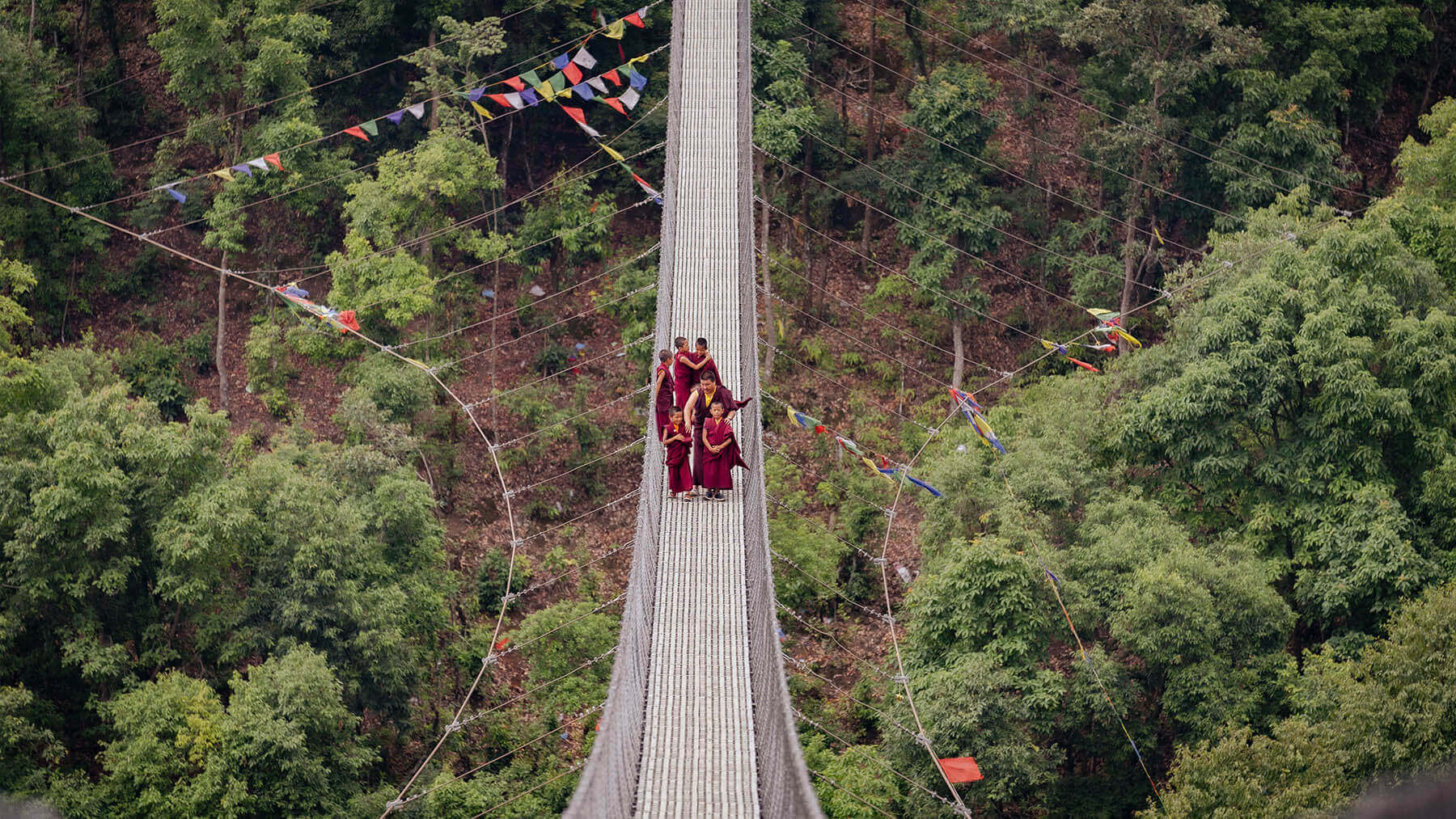 Suspension Bridge